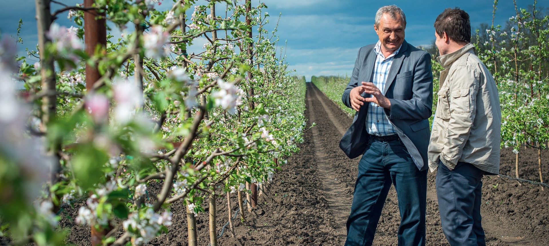 Андрей Сидоренко: «Яблоневый сад стал украшением хозяйства»