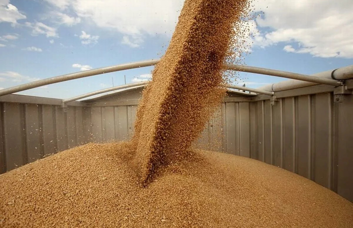 XXIII Международный зерновой раунд «Рынок зерна –  вчера, сегодня, завтра»