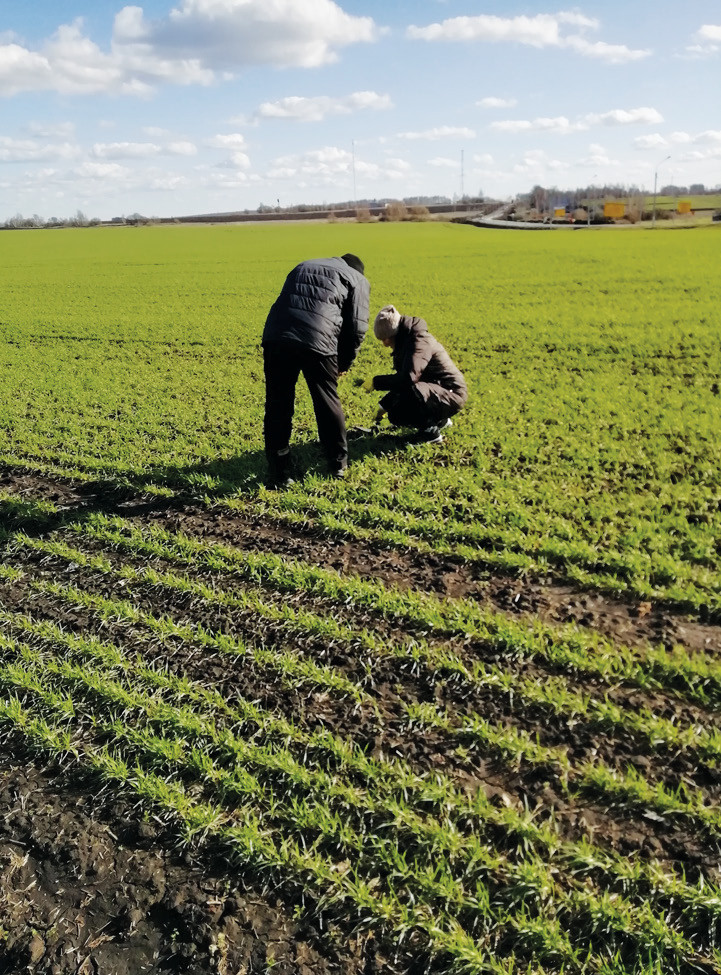  Владимир Дежин: «Наша задача — сберечь урожай»