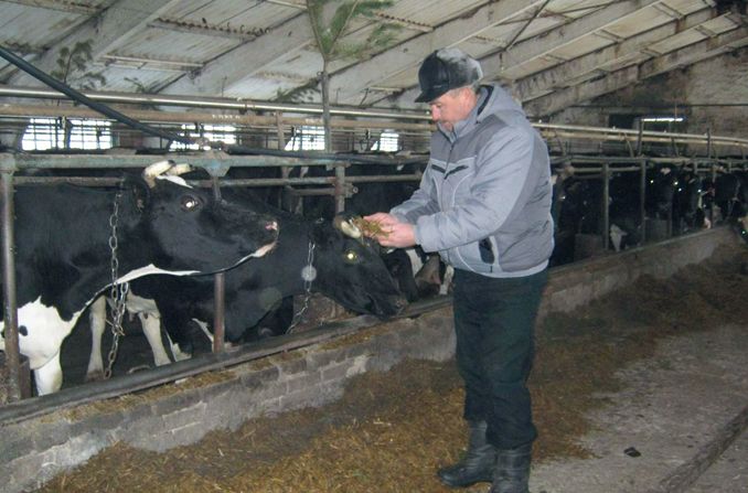 Рашид Хадиев: «Наша основная прибыль — это деньги, вырученные от продажи молока»