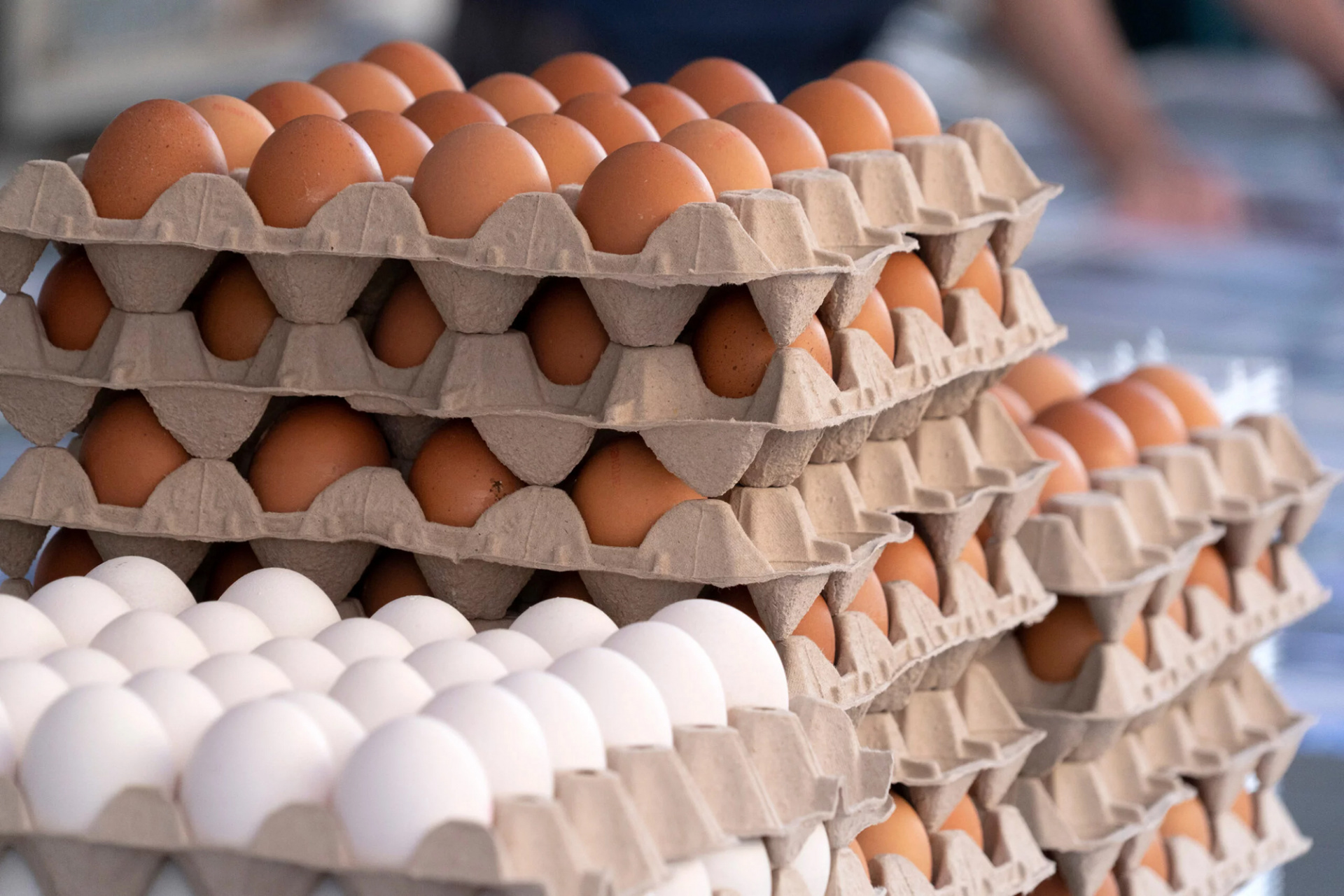 Производители в России принимают меры для ограничения роста цен на яйца и курицу 
