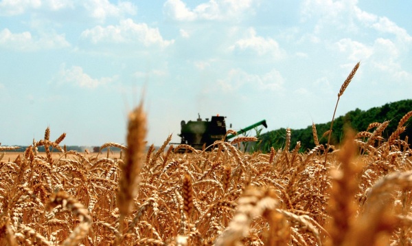 Леонид Серокуров: «Ежегодно наши аграрии собирают хороший урожай зерновых»