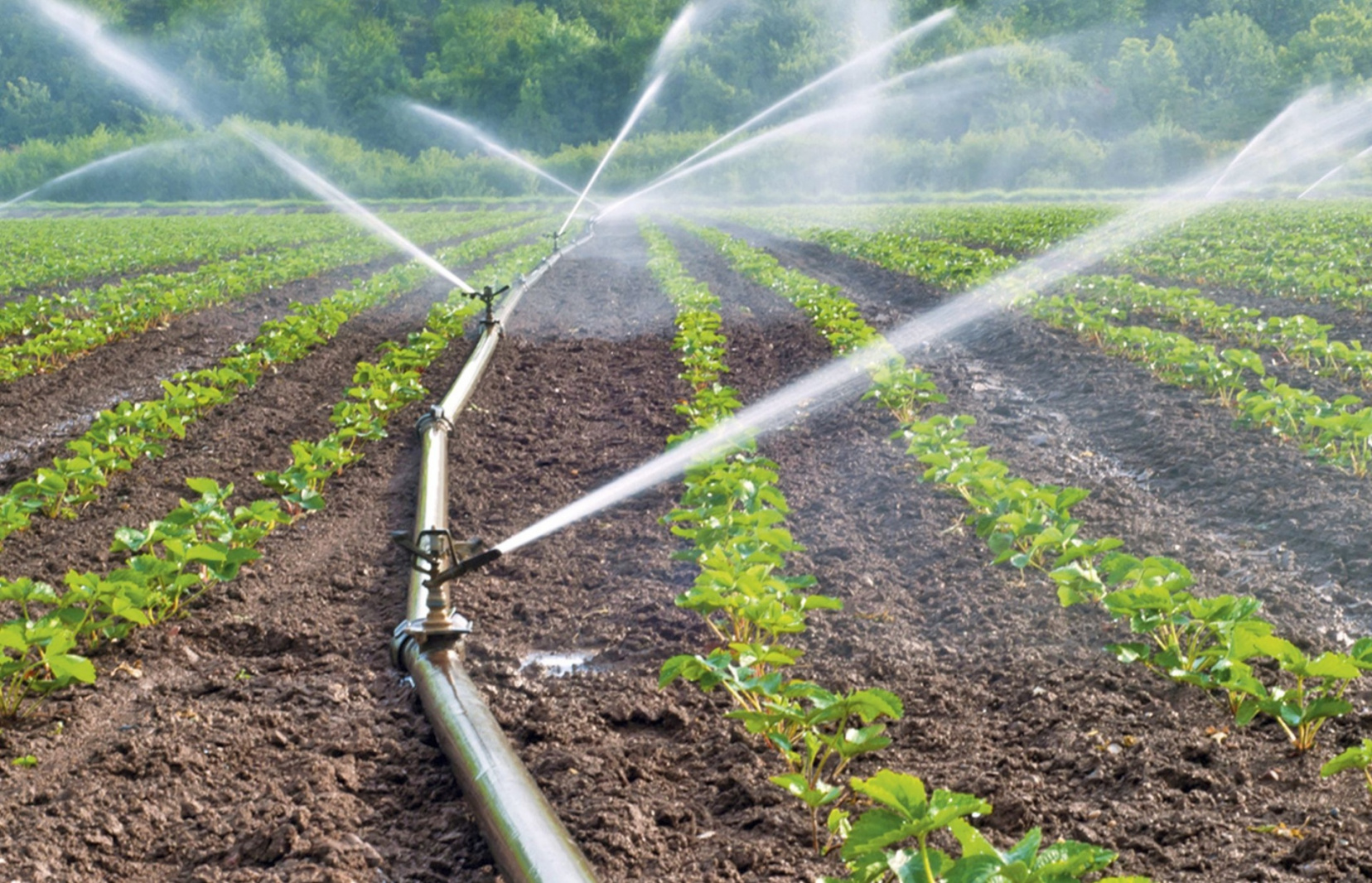 Мелиорацию не оставят без поддержки