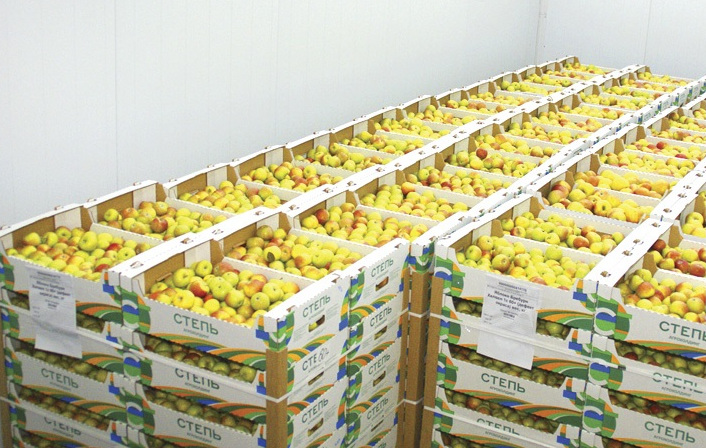 Геннадий Борисов: «Наша цель — обеспечить страну яблоками отечественного производства»