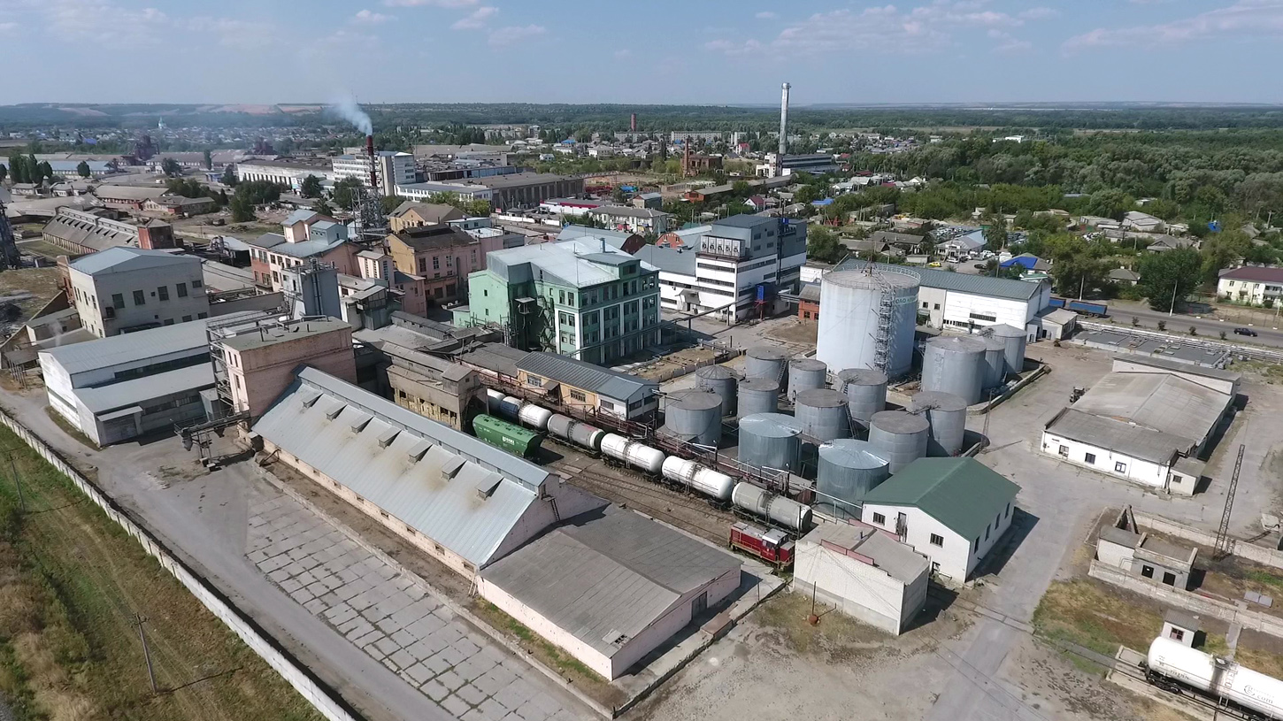 Волгоградская область сможет перерабатывать весь производимый подсолнечник