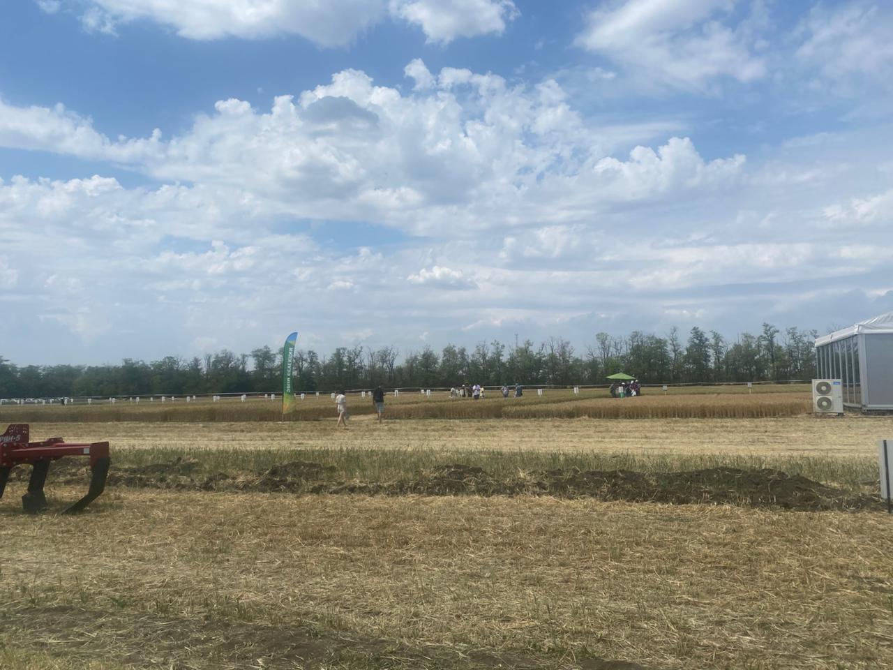 «Вестник АПК» принял участие в Дне донского поля