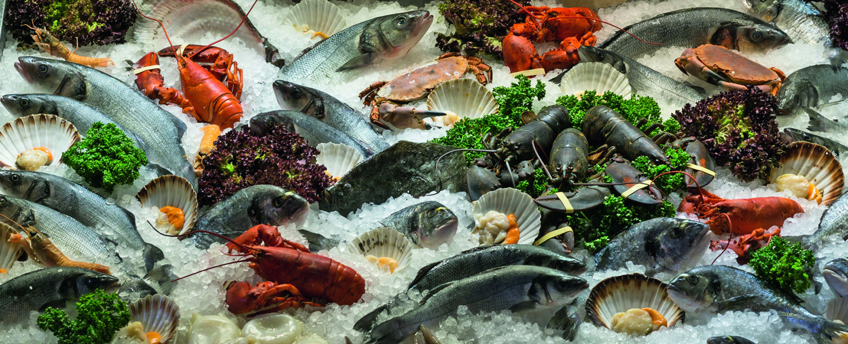 Александр Панин: «России необходима программа популяризации рыбы»