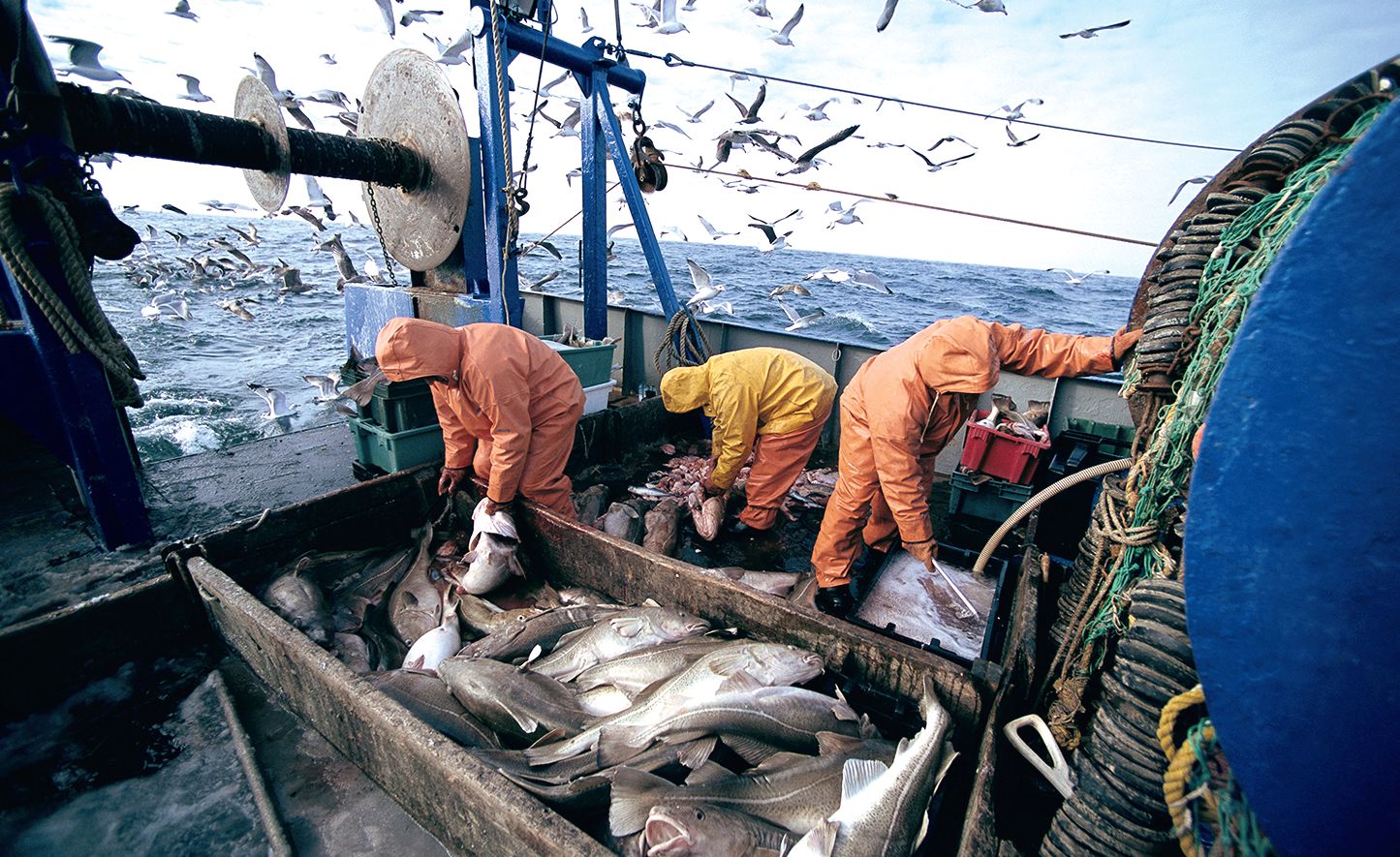 Илья Шестаков: «В ближайшие годы рыбохозяйственный комплекс России сможет повысить экономические показатели»