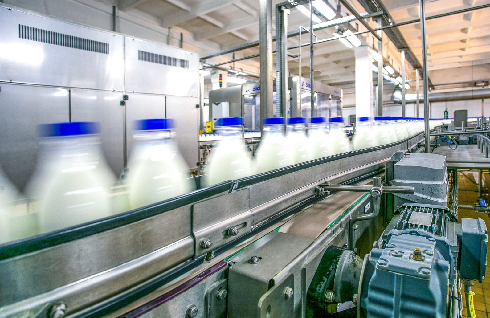 30 крупнейших переработчиков молока