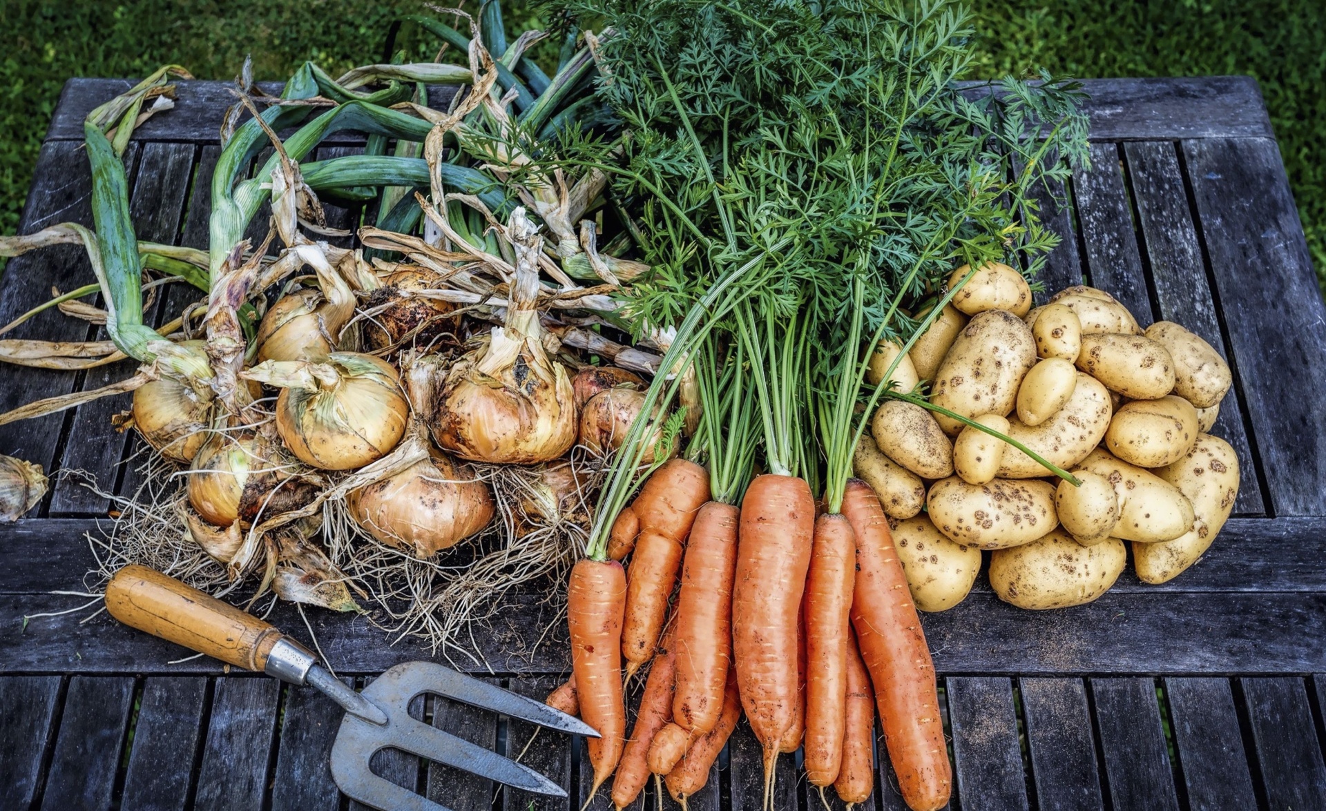 Картошка, капуста, морковка, горох