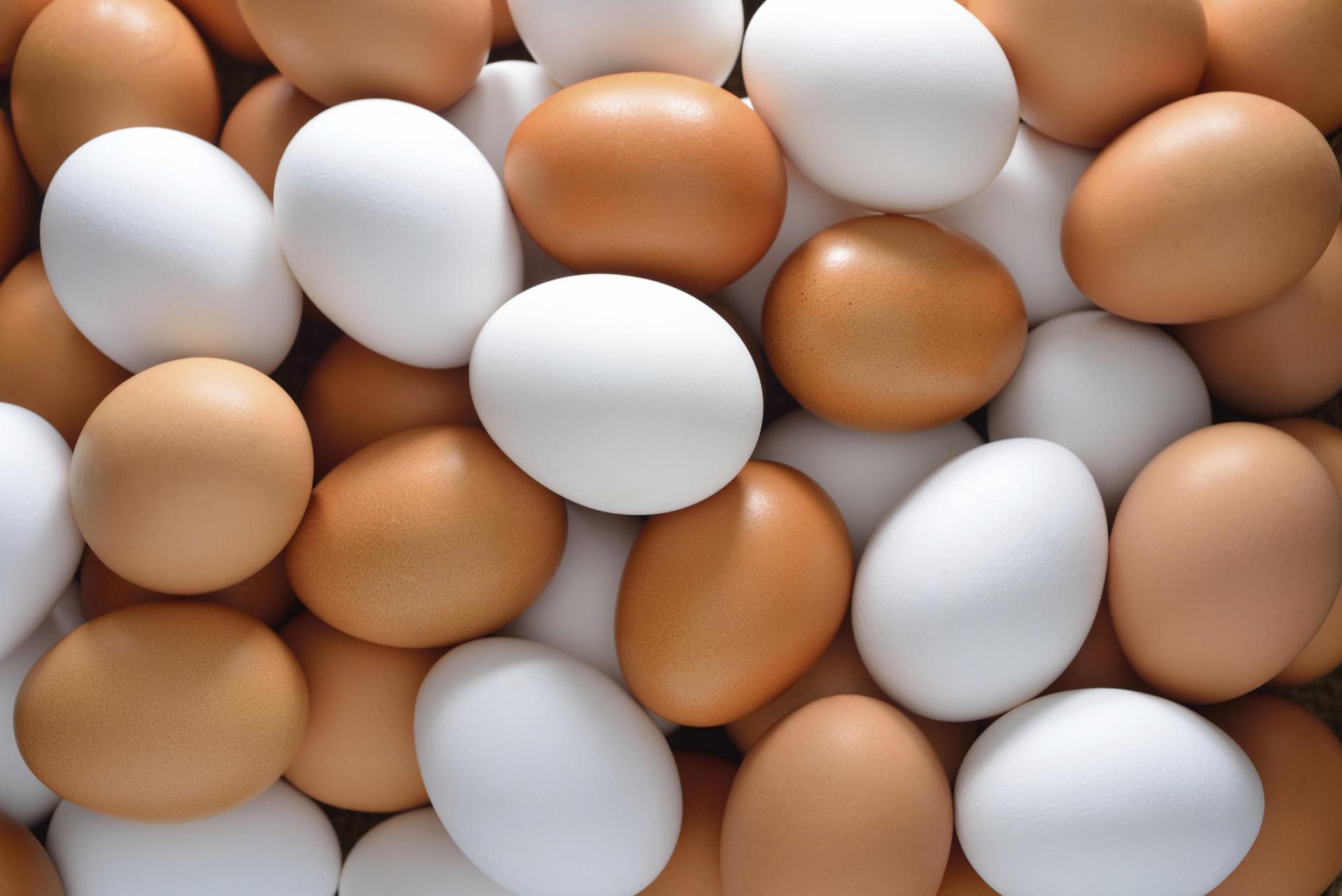 ГК «Лето» намерено выпускать миллиард яиц в год