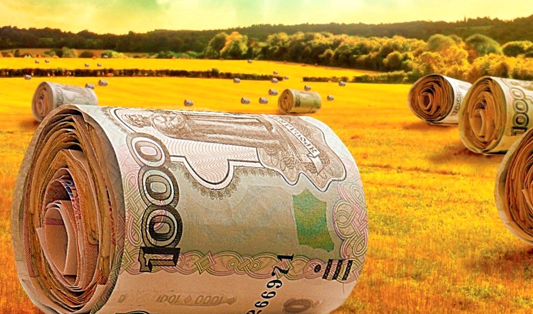 «Финансовая поддержка аграрного сектора. Вопросы кредитования и страхования»