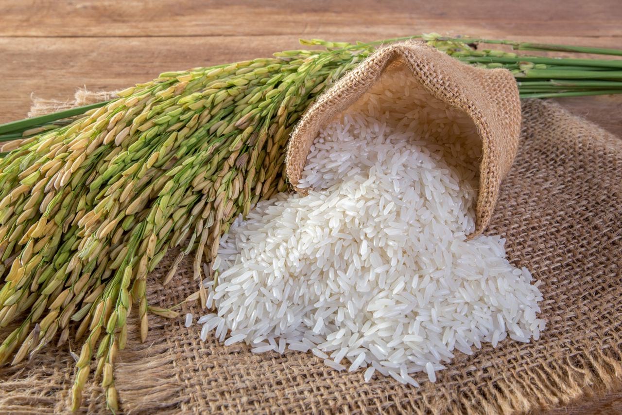 В России вынашивают трехлетние планы по увеличению объемов урожая риса в два раза