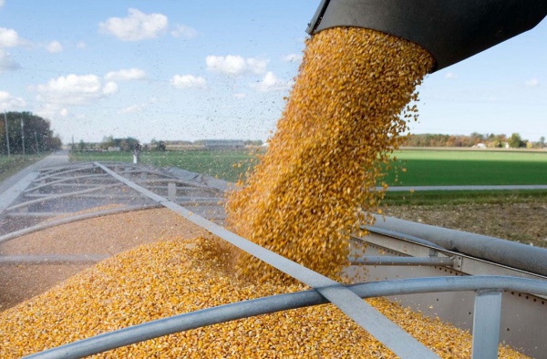 Россия не отдаст лидерство в зерновом экспорте