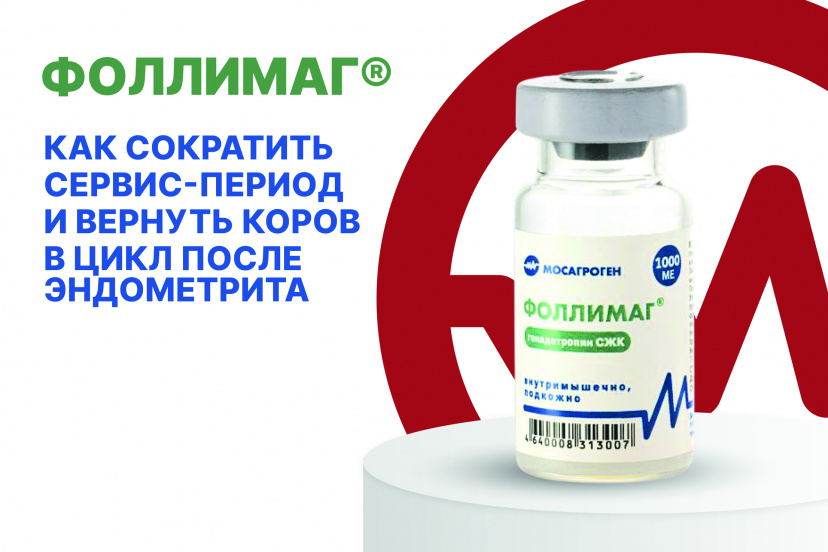 Ни дня без потерь