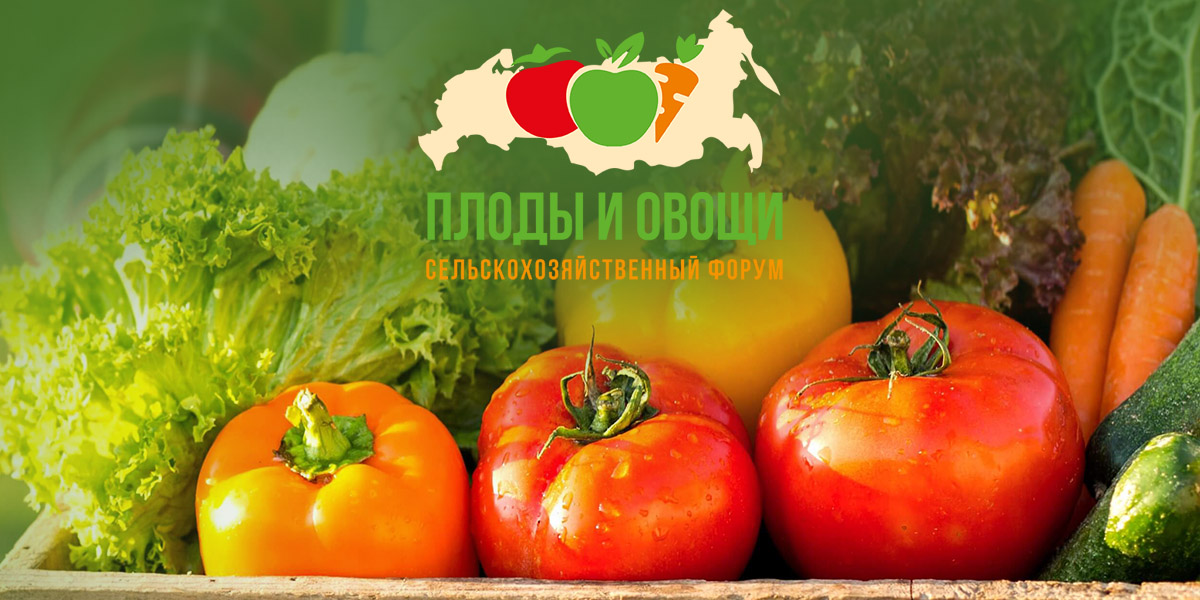 Опыт выращивания картофеля в Сибири обсудят на выставке «Плоды и овощи России 2021»