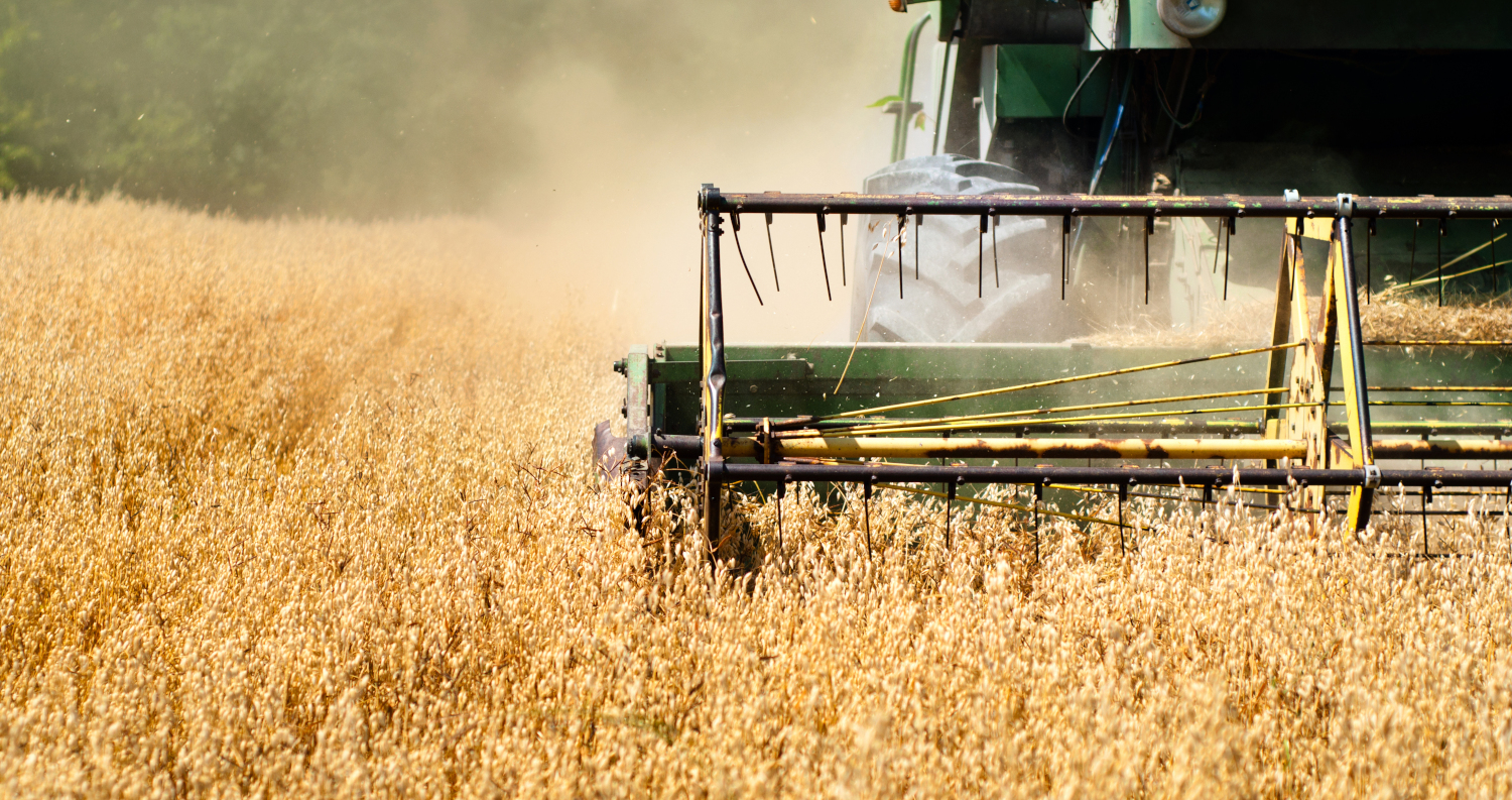 Владимир Бухтияров: «Решить проблему низкой маржинальности сельского хозяйства можно только дотированием»