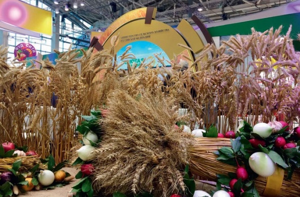 Андрей Коробка: «Краснодарский край в очередной раз подтвердил свой высокий потенциал в агропромышленном секторе»