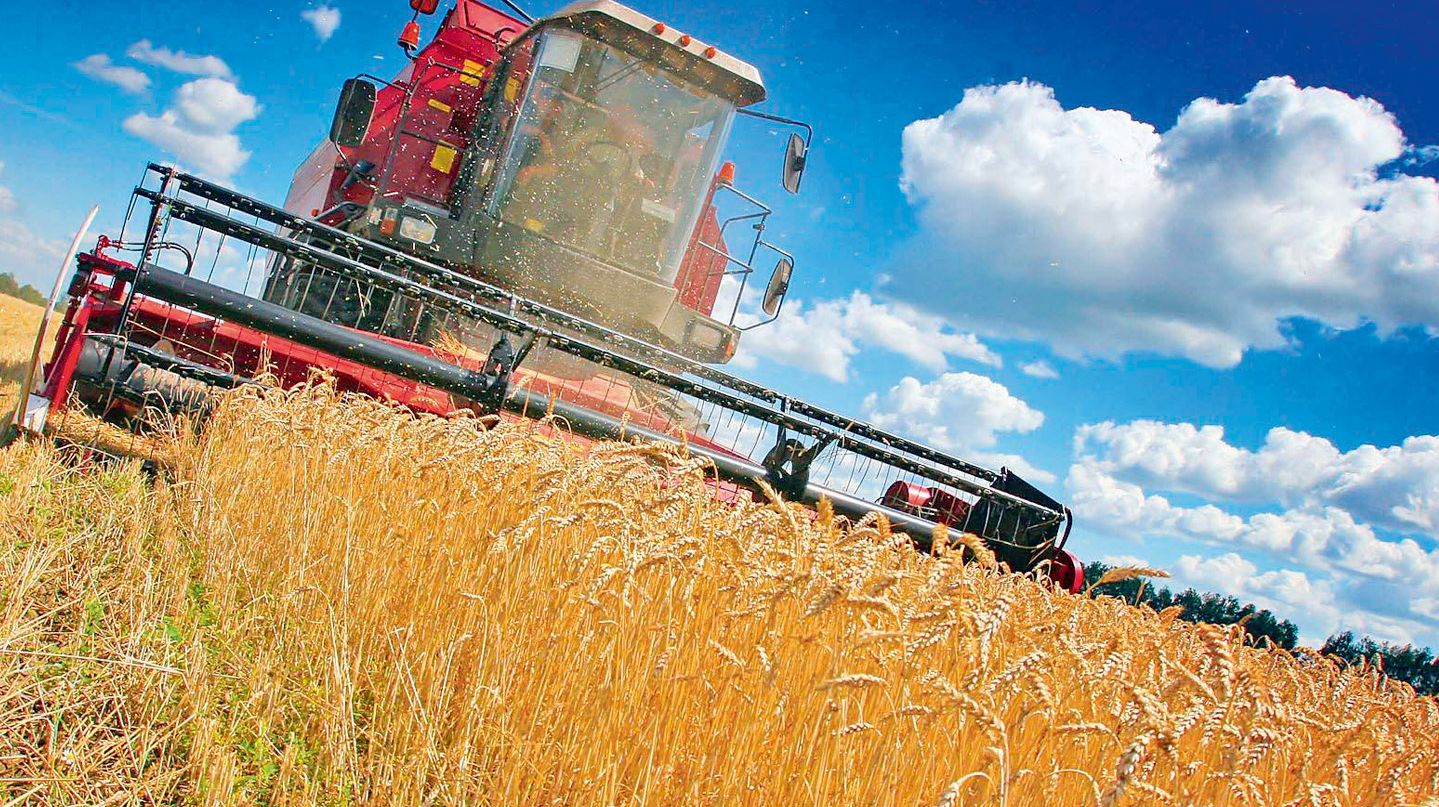 «Владимир Ситников: «Мы сохранили свои позиции в тройке лидеров по производству зерна в России»