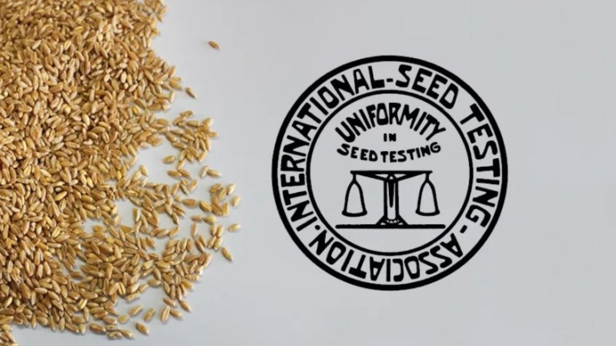 В России планируется внедрить систему международной электронной сертификации семян ISTA
