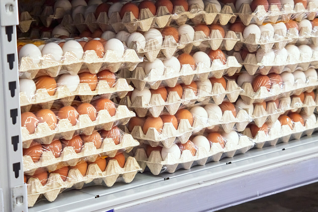 В российских магазинах падают розничные цены на куриные яйца 