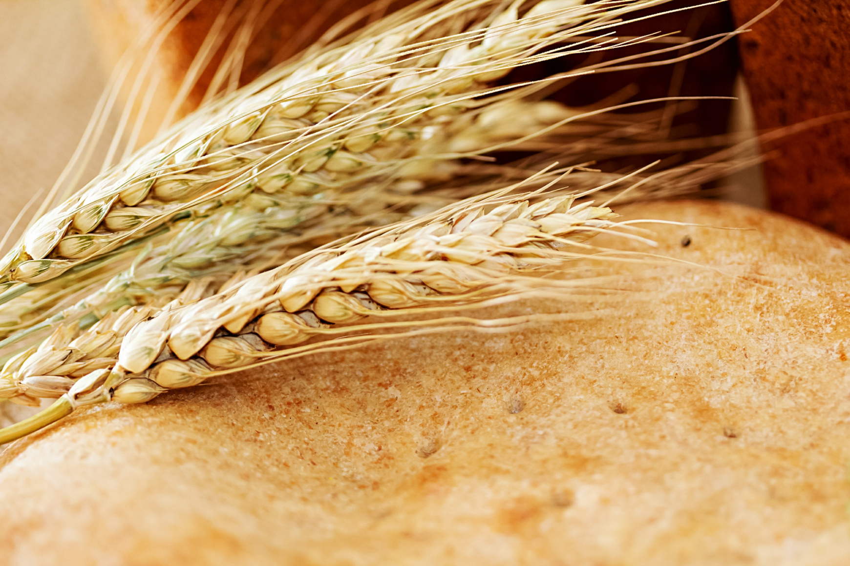 Российские аграрии увеличат объемы экспорта зерновой продукции в Азербайджан