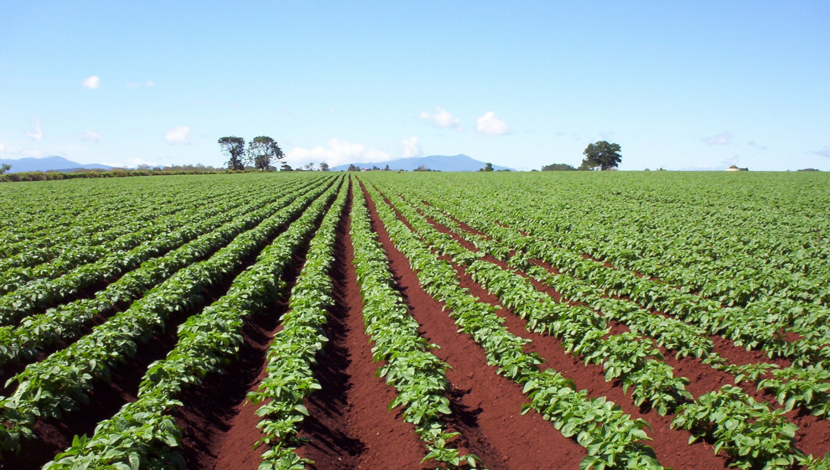 Надежная опора