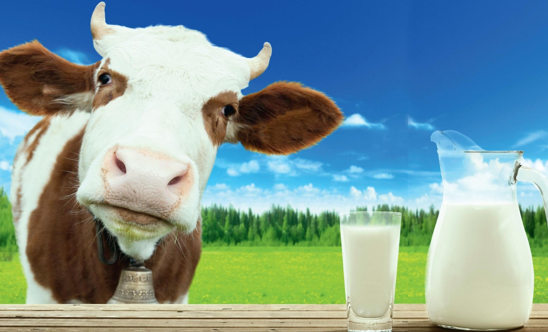 Новый подход к молочному животноводству