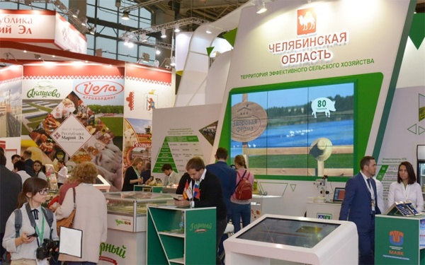 Челябинская область на «Золотой осени»: от крупных инвестпроектов до полезного питания