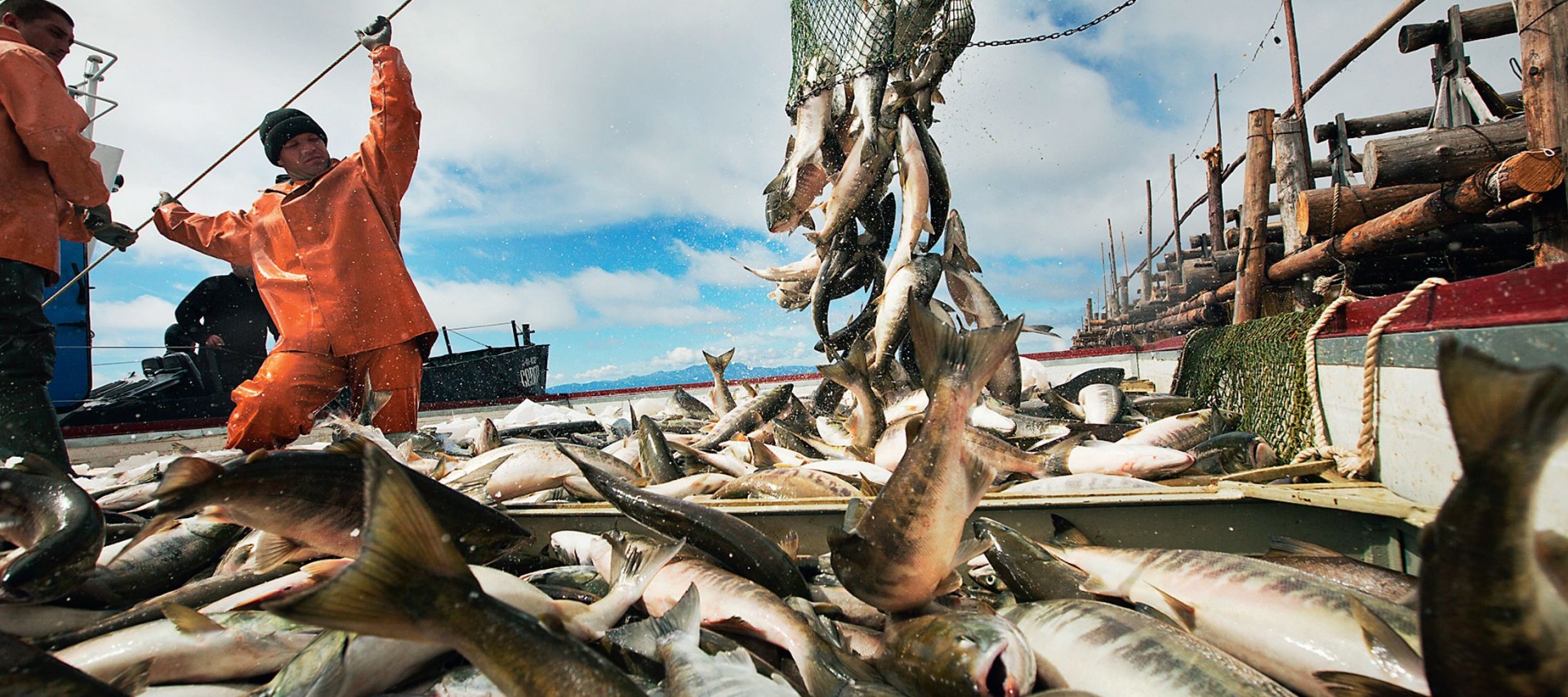 Илья Шестаков: «Изменения в законе о рыболовстве позволят нарастить объем поставок рыбной продукции на российский берег»