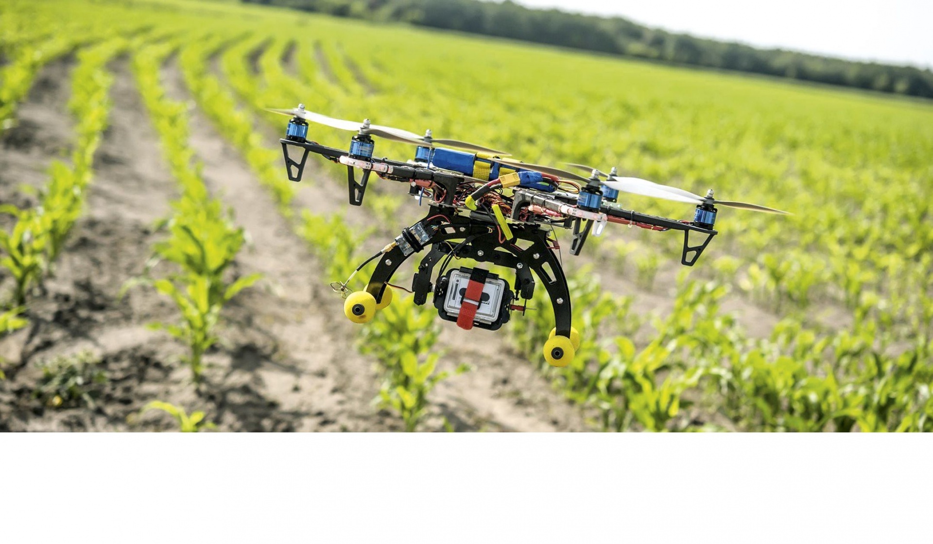 IoT для фермера: технологии и перспективы