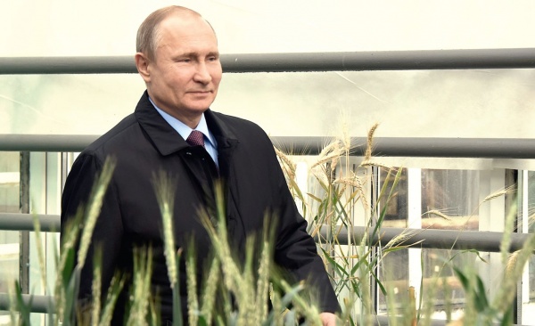 Владимир Путин: «Уже через четыре года мы планируем поставлять на мировые рынки больший объем продовольствия, чем ввозить в страну»