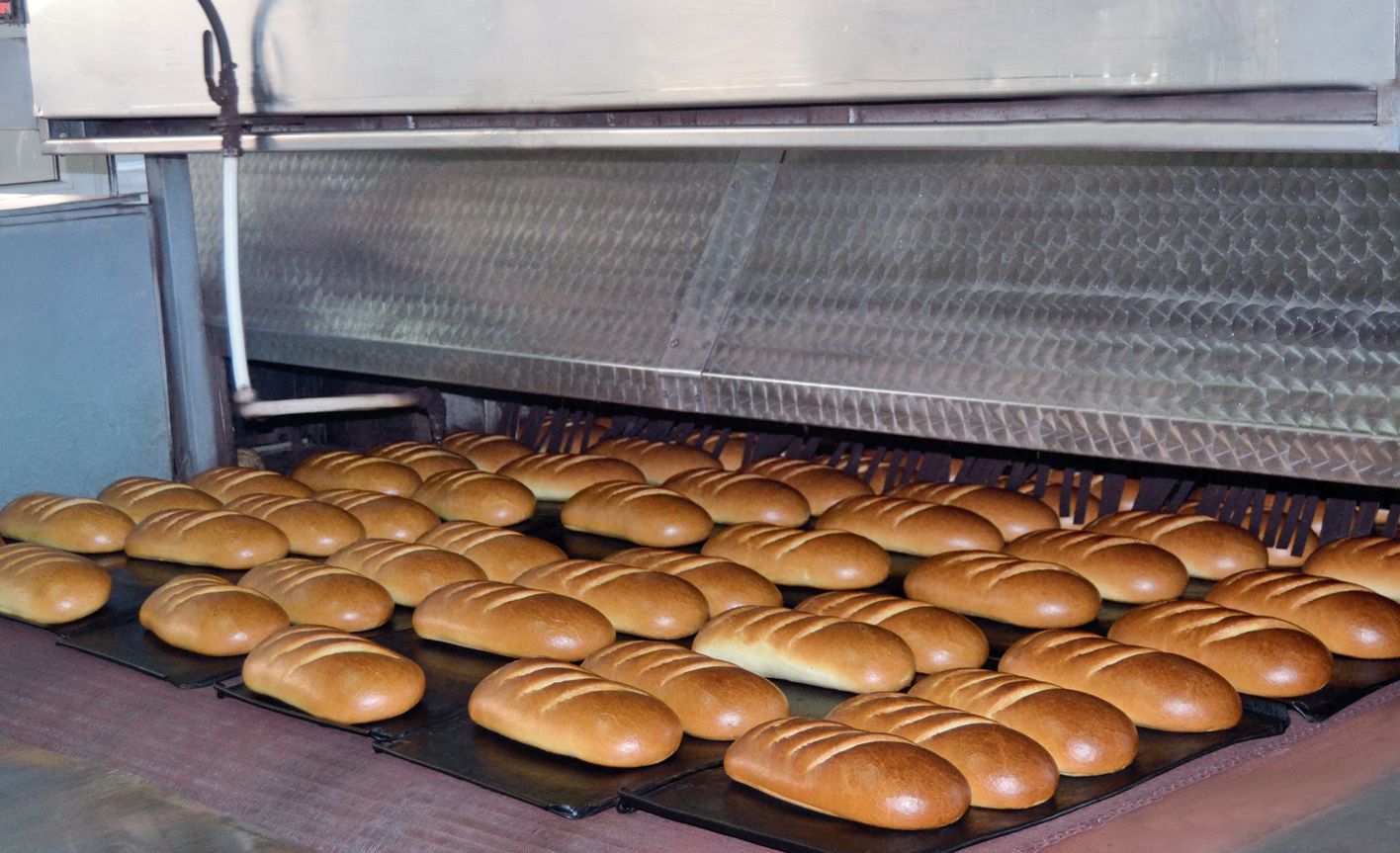 Елена Бадаева: «Хлеб — продукт особый, он должен быть всегда свежим»
