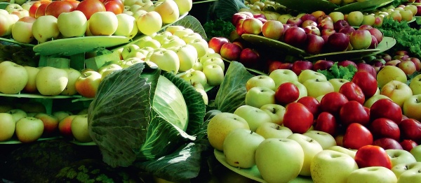 Джамбулат Хатуов: «Рост производства сельхозпродукции позволил сократить импорт продовольственных товаров»