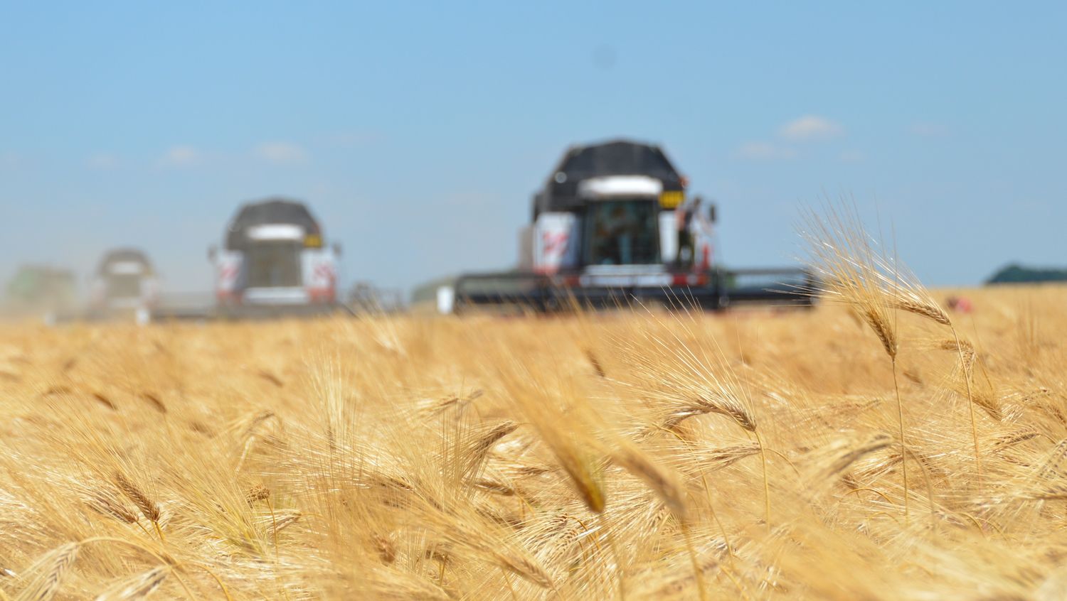 В Ростовской области началась уборка ранних зерновых культур 