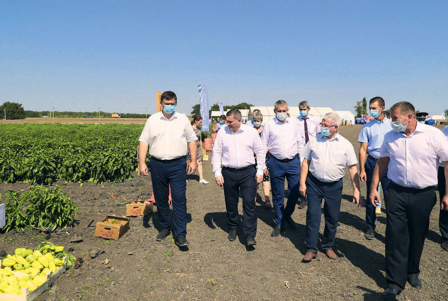Владимир Ламзин: «Социальная ответственность для фермеров Волгоградской области — не пустой звук»