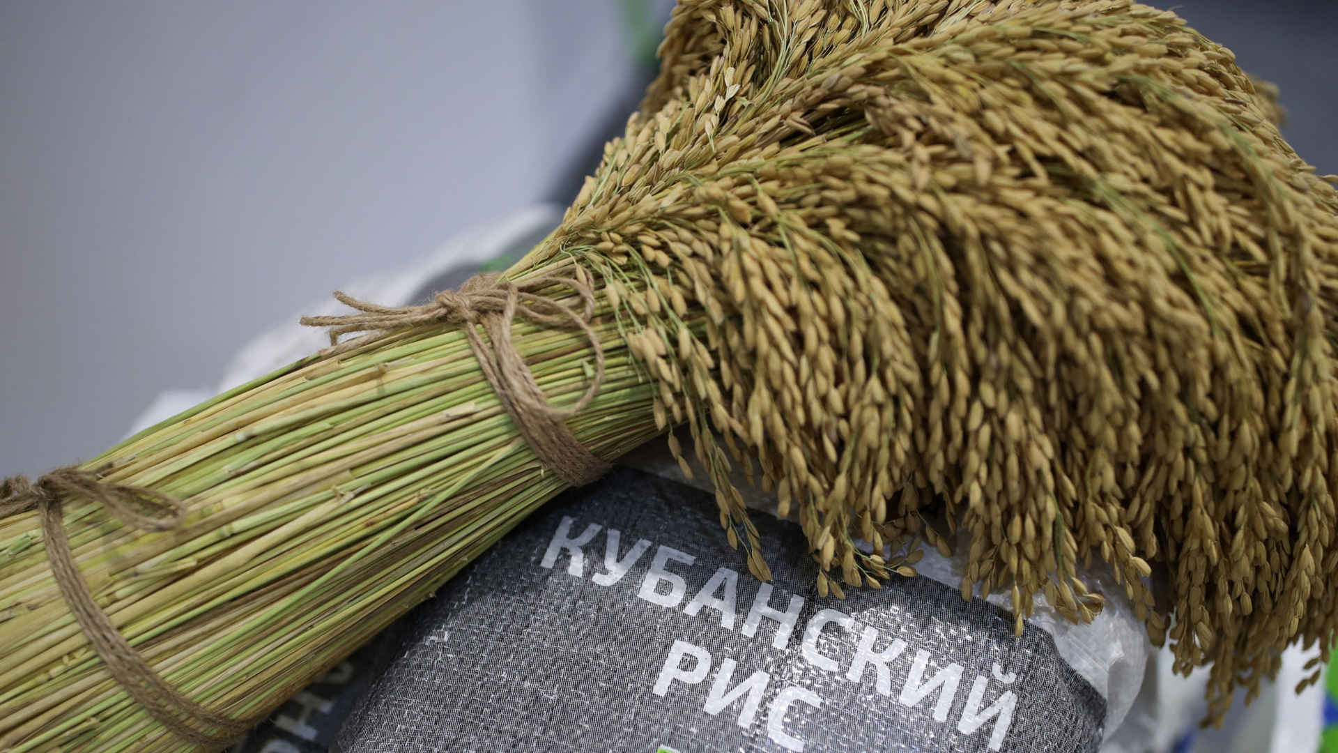 Правительство продлило временный запрет на экспорт риса и рисовой крупы из России