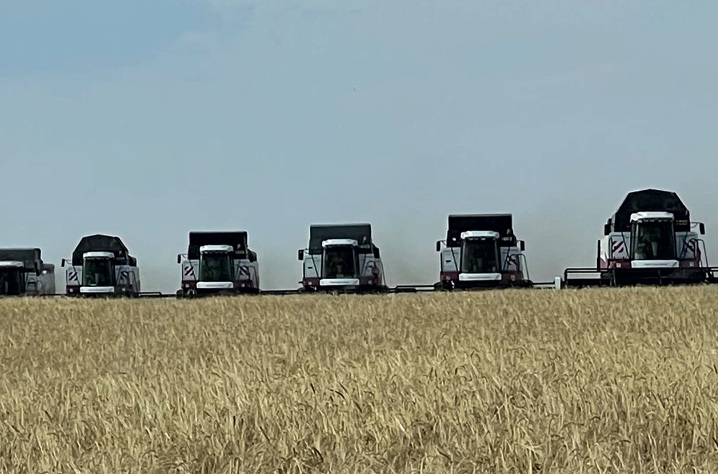Константин Сердюков: «Пшеница — это жизнь»