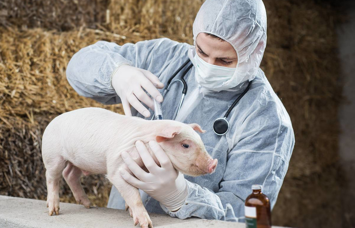 Круглый стол «Возможно ли современное сельское хозяйство без антибиотиков?»
