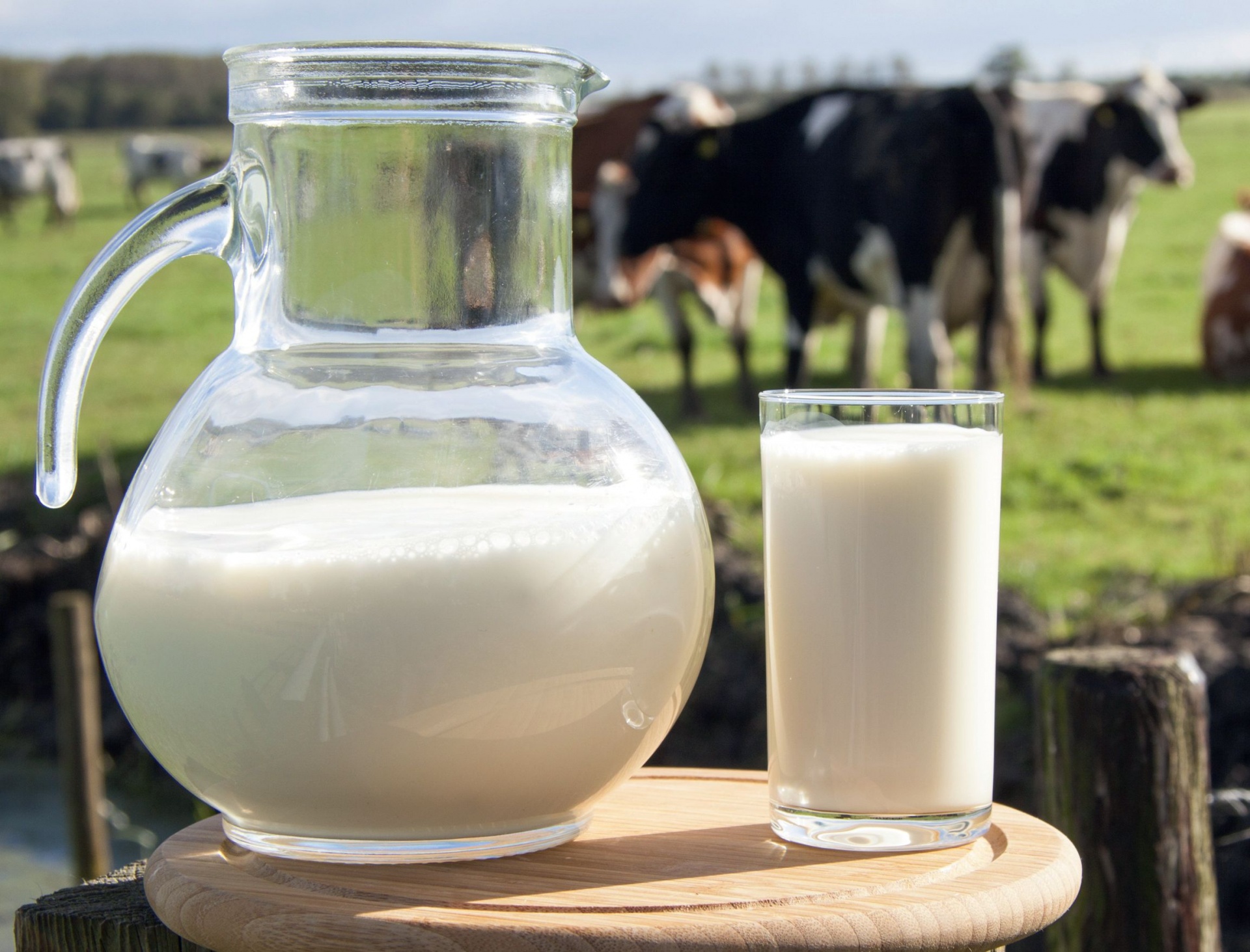 Молоко коровье пейте  на здоровье