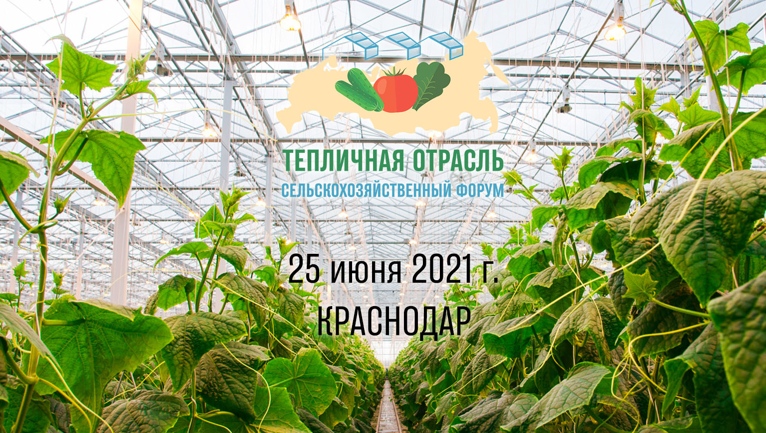 Меньше месяца осталось до II сельскохозяйственного форума «Тепличная отрасль 2021»!