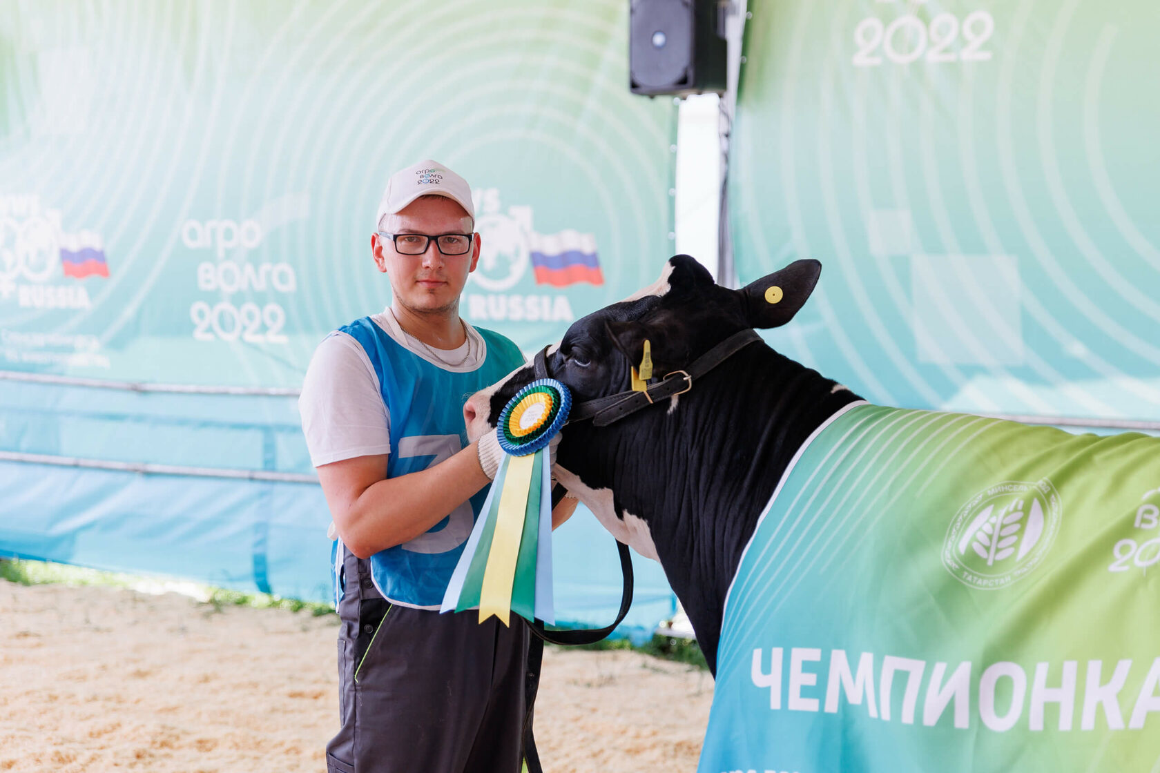 «КРАСА АГРОВОЛГИ» – Казань готовится к зрелищному конкурсу коров