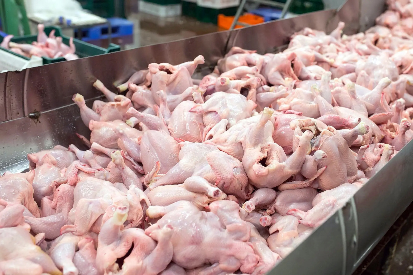 Для стабилизации цен Правительство РФ обнулило на 2024 год таможенные пошлины на ввоз замороженного мяса домашних кур. 