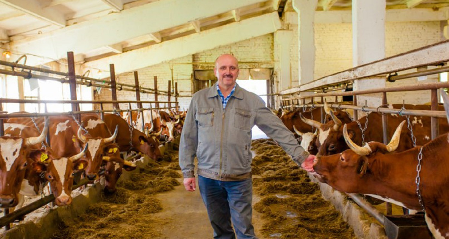 Александр Федоровский: «Собственные корма обеспечивают качество молока»