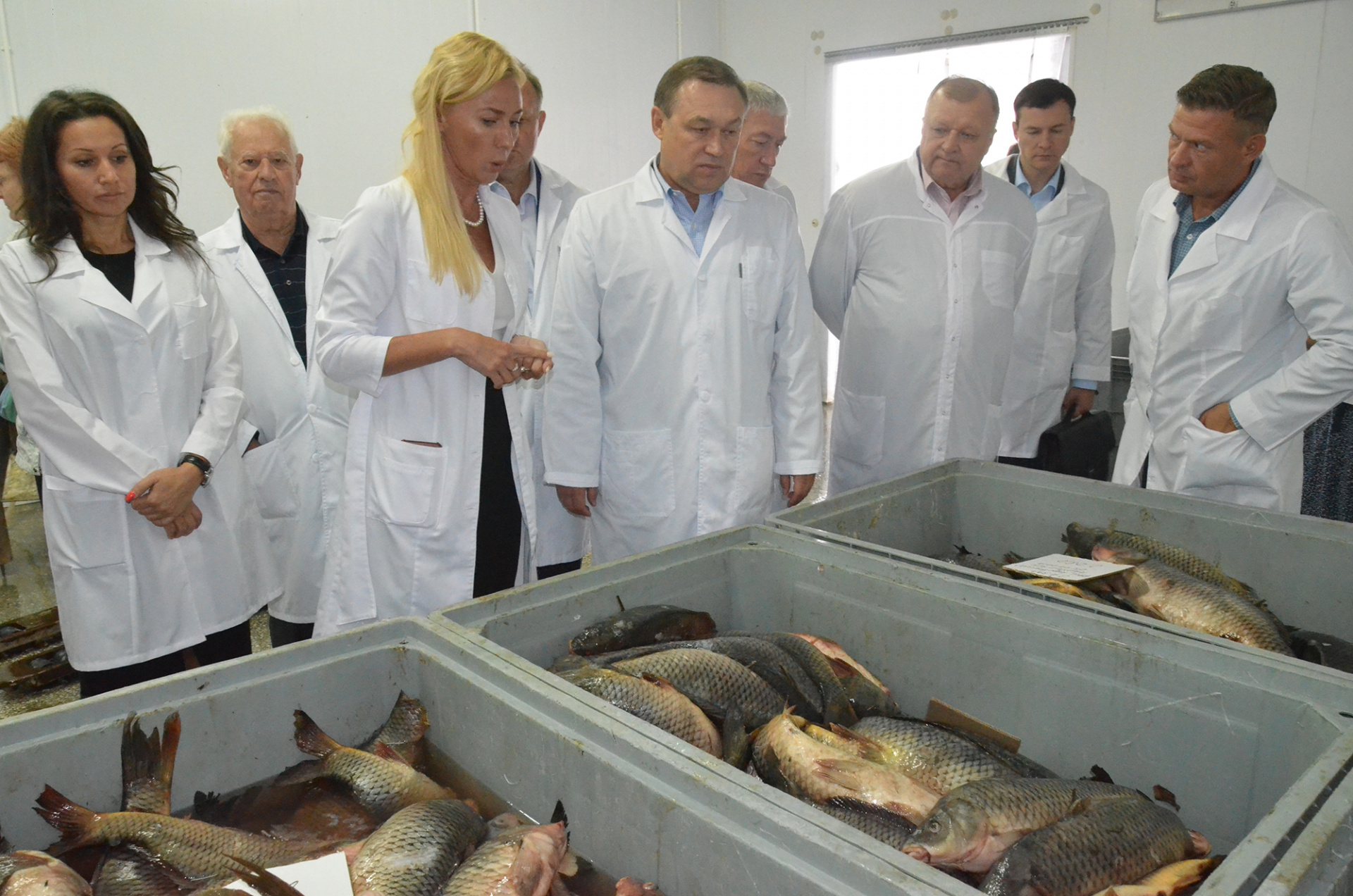 Ежегодно в Ростовской области выращивают более 24 тысяч тонн товарной рыбы