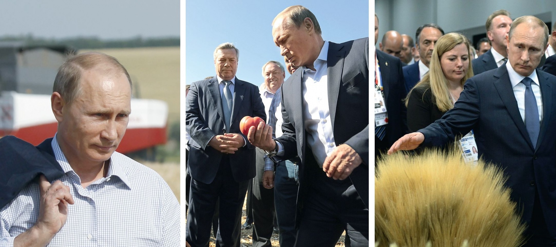 Владимир Путин: «О результатах работы селян мы говорим в последнее время часто и с удовольствием»