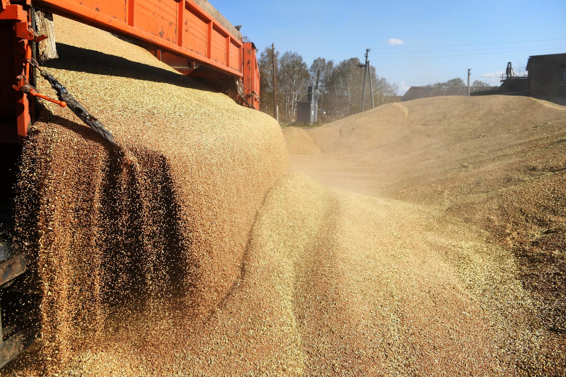 Страны БРИКС создадут зерновую биржу
