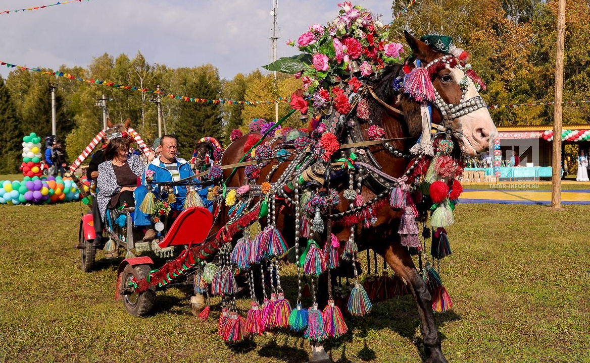 Татарстан провел День коня