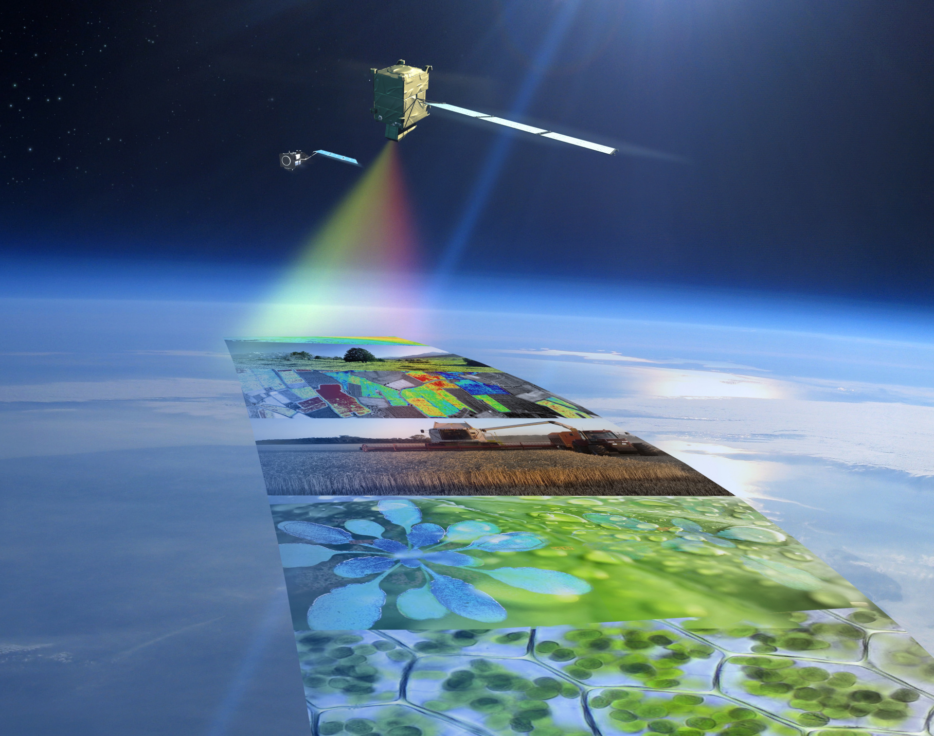 Подмосковные сельхозземли теперь можно мониторить из космоса — выпущено мобильное приложение