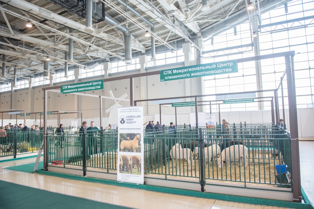 «АГРОФАРМ-2020» на ВДНХ снова подтвердила статус ключевой животноводческой выставки России